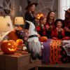 2 PCS Set Halloween Gnome Figures Décor 10.2x5.5x23.5 inches, Featuring Fabric Sitting Gnomes with White Hat Spiders