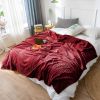 SOGA Burgundy Throw Blanket  Bed Sofa Comforter