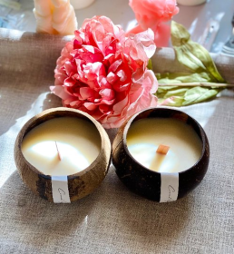 Coconut Wax Candle in Coconut Shell (size: Color)