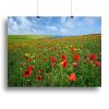 Wild Flower Meadow Canvas Print or Poster