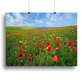 Wild Flower Meadow Canvas Print or Poster (Type: Standard Framed Canvas Print, size: 28" x 20" / 70cm x 50cm (approx))