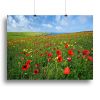 Wild Flower Meadow Canvas Print or Poster
