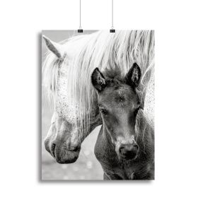 The Foal Canvas Print or Poster (Type: Standard Framed Canvas Print, size: 40" x 26" / 100cm x 65cm approx)
