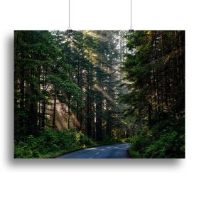 Landscape Forest Canvas Print or Poster (Type: Poster Print, size: 12" x 8" / 30cm x 20cm (approx))