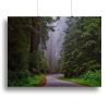 Telephone Box Canvas Print or Poster