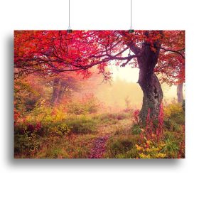 autumn trees in forest Canvas Print or Poster (Type: Poster Print, size: 16" x 12" / 42cm x 30cm (approx))