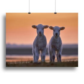 Lamb Twins Canvas Print or Poster (Type: Standard Framed Canvas Print, size: 16" x 12" / 42cm x 30cm approx)