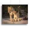 Happy Canvas Print or Poster