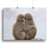 Forever Friends Canvas Print or Poster