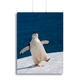 Life is good Canvas Print or Poster (Type: Standard Framed Canvas Print, size: 28" x 20" / 70cm x 50cm approx)