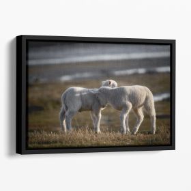 Lambs Floating Framed Canvas (Color: Black, size: 12" x 8" / 30cm x 20cm (approx))