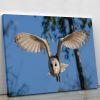 Barn Owl Canvas Print or Poster