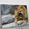 Big lion father and his son playing Canvas Print or Poster