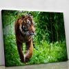 Hunting Tiger at the zoo Canvas Print or Poster
