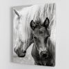 The Foal Canvas Print or Poster