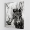 The Foal Canvas Print or Poster