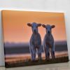 Lamb Twins Canvas Print or Poster