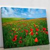 Wild Flower Meadow Canvas Print or Poster